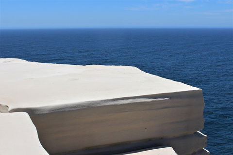 Royal National Park Tour - Tweed Heads Accommodation 0