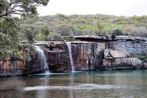 Royal National Park Tour - Tweed Heads Accommodation 1