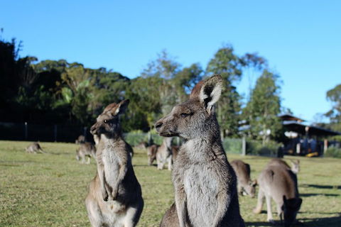 Royal National Park Tour - Tweed Heads Accommodation 2