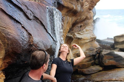 Royal National Park Tour - Tweed Heads Accommodation 4