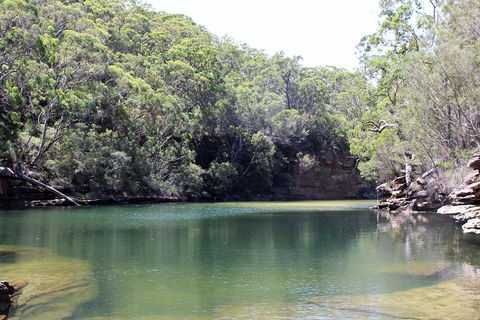 Royal National Park Tour - Tweed Heads Accommodation 5