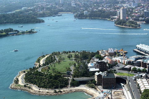 Half Day Manly Beach And More - Tweed Heads Accommodation 1
