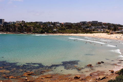 Half Day Manly Beach And More - Tweed Heads Accommodation 2