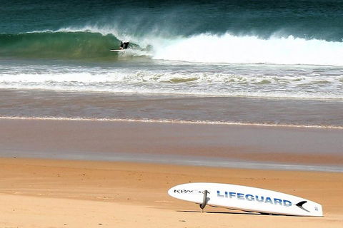 Half Day Manly Beach And More - Tweed Heads Accommodation 5