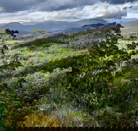 3-Day Tour to the Falls Mountains Lake  More of West Coast Tasmania - Tweed Heads Accommodation