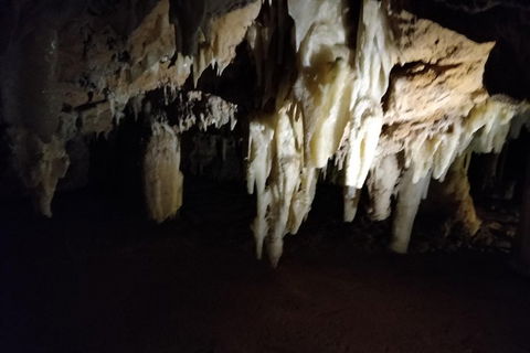 The Pinnacle Adventure Tour - Tweed Heads Accommodation 0