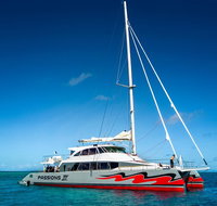 Passions of Paradise Great Barrier Reef Snorkel and Dive Cruise from Cairns by Luxury Catamaran - Tweed Heads Accommodation