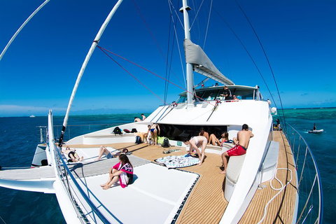 Passions Of Paradise Great Barrier Reef Snorkel And Dive Cruise From Cairns By Luxury Catamaran - Tweed Heads Accommodation 3