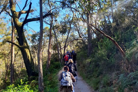 Self-Guided Waterfall Gully To Mount Lofty Hike From Adelaide - Tweed Heads Accommodation 1