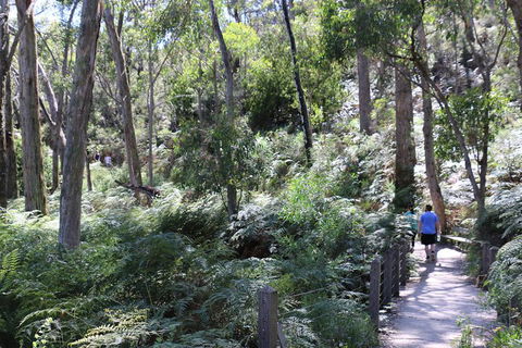 Self-Guided Waterfall Gully To Mount Lofty Hike From Adelaide - Tweed Heads Accommodation 2