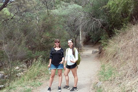 Self-Guided Waterfall Gully To Mount Lofty Hike From Adelaide - Tweed Heads Accommodation 4