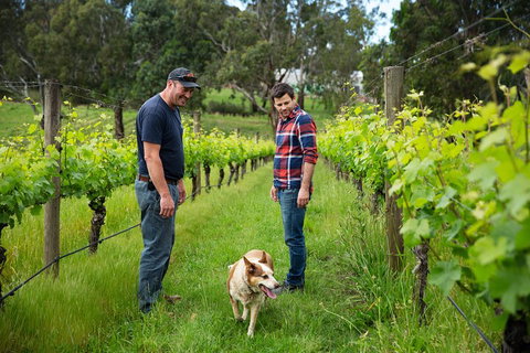 LGBT+ Friendly Full Day Yarra Valley & Dandenong Ranges Private Tour - Tweed Heads Accommodation 4