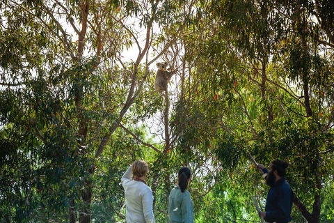 LGBT+ Friendly 3 Day Tour The Grampians, Daylesford & Ballarat - Tweed Heads Accommodation 4