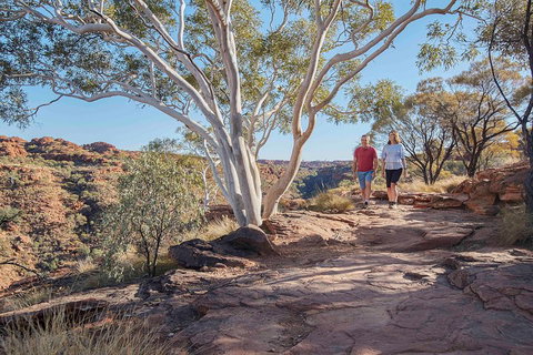 3-Day Tour From Uluru (Ayers Rock) To Alice Springs Via Kings Canyon - Tweed Heads Accommodation 1