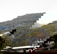 Taste of the Blue Mountains - Lunch  Wine tasting Beer Cider  Gin Tasting - Tweed Heads Accommodation