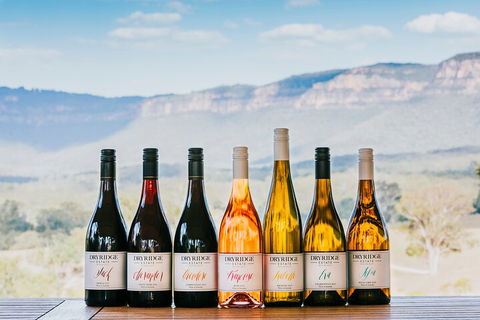 Taste Of The Blue Mountains - Lunch & Wine Tasting, Beer, Cider & Gin Tasting - Tweed Heads Accommodation 3