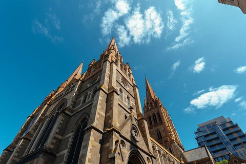 Highlights & Hidden Gems With Locals: Best Of Melbourne Private Tour - Tweed Heads Accommodation 4