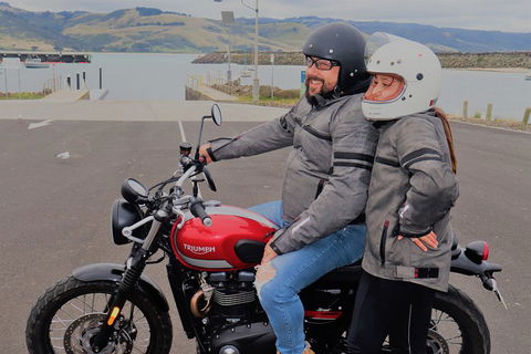 Triumph Street Scrambler 900cc - Tweed Heads Accommodation 1