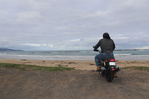 Royal Enfield Interceptor 650cc - Tweed Heads Accommodation 5