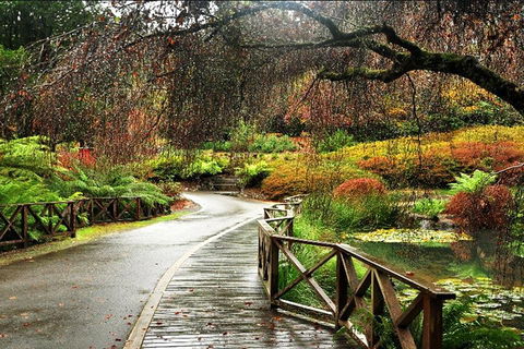 Discover Tour: Dandenong Ranges & William Ricketts Sanctuary - Tweed Heads Accommodation 3