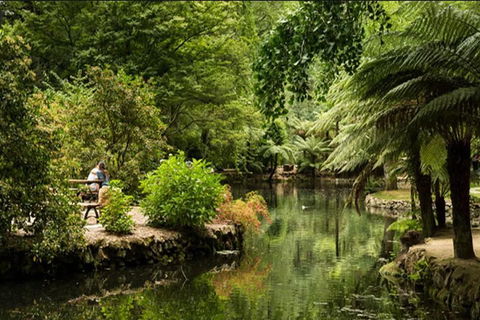 Discover Tour: Dandenong Ranges & William Ricketts Sanctuary - Tweed Heads Accommodation 4