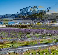 Private Hobart Discover South East Food and Scenic Tour - Tweed Heads Accommodation
