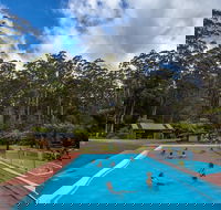 Tahune Airwalk Active Day Trip from Hobart Including Hastings Caves - Tweed Heads Accommodation