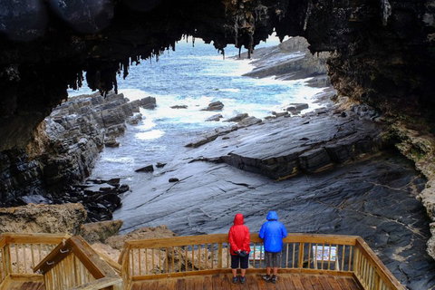 Full-Day Kangaroo Island Safari From Penneshaw - Tweed Heads Accommodation 1