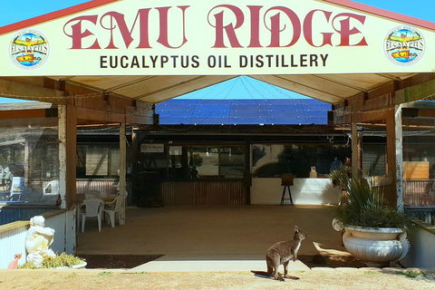 Full-Day Kangaroo Island Safari From Penneshaw - Tweed Heads Accommodation 2