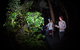 Let's Go Buggin & Let's Go Shroomin - Photography & Nature Walking Tours - thumb 4
