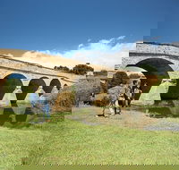 Richmond Historic Afternoon Tour from Hobart - Tweed Heads Accommodation