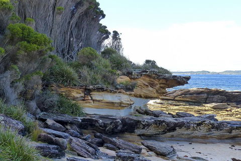 Day Trip To Cronulla & The Royal National Park - Tweed Heads Accommodation 4