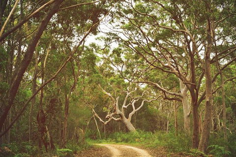 Day Trip To Cronulla & The Royal National Park - Tweed Heads Accommodation 5