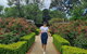 Women's History Walking Tour With Local Guide In Canberra - thumb 1