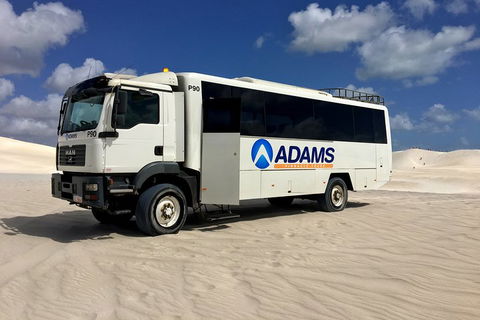 Pinnacles Desert, Koalas And Sandboarding 4WD Day Tour From Perth - Tweed Heads Accommodation 2