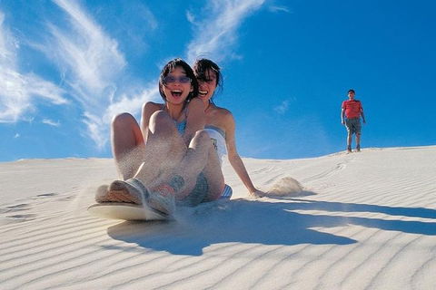 Pinnacles Desert, Koalas And Sandboarding 4WD Day Tour From Perth - Tweed Heads Accommodation 3
