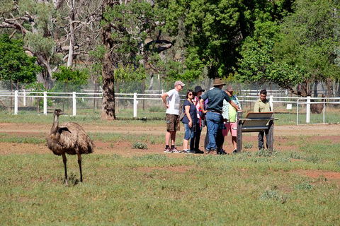Yura Udnyu - Our Culture, Your Culture (Aboriginal Cultural Walk) - Tweed Heads Accommodation 1