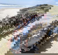 3 Day Tasmanian Wild West Coast Tour from Hobart to Launceston - Tweed Heads Accommodation