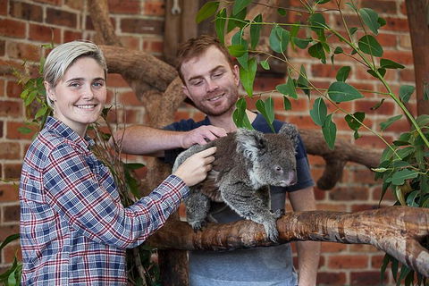 Private Tour: Blue Mountains Day Trip From Sydney - Tweed Heads Accommodation 0