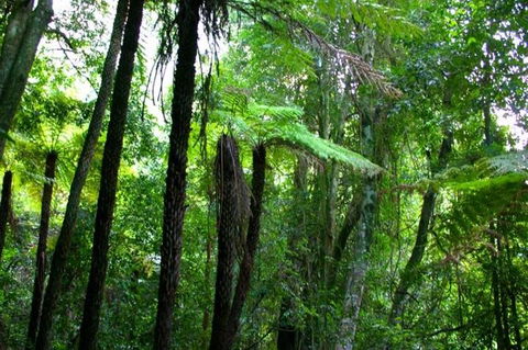 Private Tour: Blue Mountains Day Trip From Sydney - Tweed Heads Accommodation 4