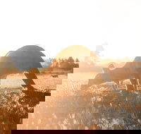 Small Group Mornington Peninsula Hike and Hot Springs Day Tour from Melbourne - Tweed Heads Accommodation