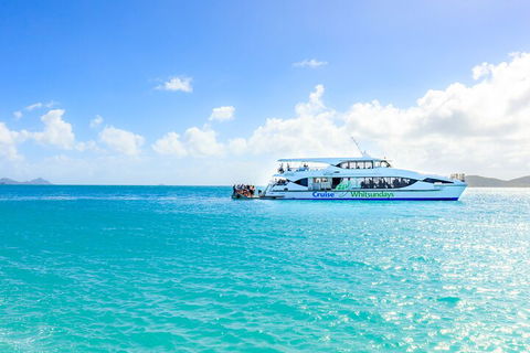 Whitehaven Beach And Daydream Island Cruise - Tweed Heads Accommodation 2