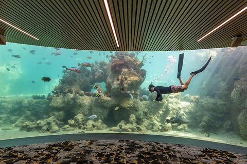 Whitehaven Beach And Daydream Island Cruise - Tweed Heads Accommodation 4