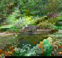 Hobart Half-Day Sightseeing Coach Tram Tour - Tweed Heads Accommodation