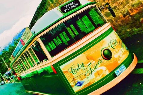 Hobart Half-Day Sightseeing Coach Tram Tour - Tweed Heads Accommodation 5