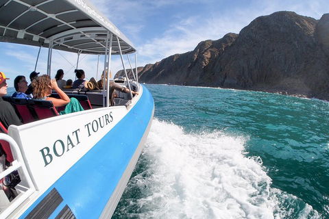 Southern Ocean Adventure From Victor Harbor - Tweed Heads Accommodation 0