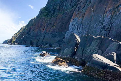 Southern Ocean Adventure From Victor Harbor - Tweed Heads Accommodation 3