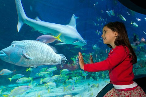 Melbourne BIG Ticket - LEGOLAND Discovery And SEA LIFE Melbourne - Tweed Heads Accommodation 1