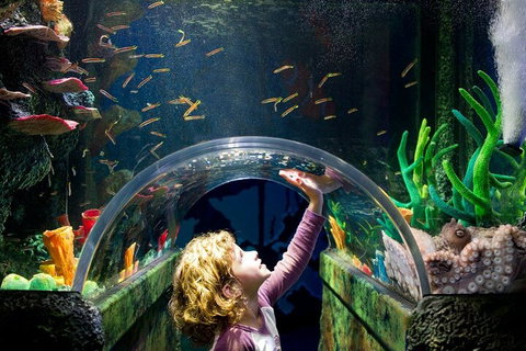 Melbourne BIG Ticket - LEGOLAND Discovery And SEA LIFE Melbourne - Tweed Heads Accommodation 2