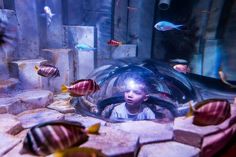 Melbourne BIG Ticket - LEGOLAND Discovery And SEA LIFE Melbourne - Tweed Heads Accommodation 5
